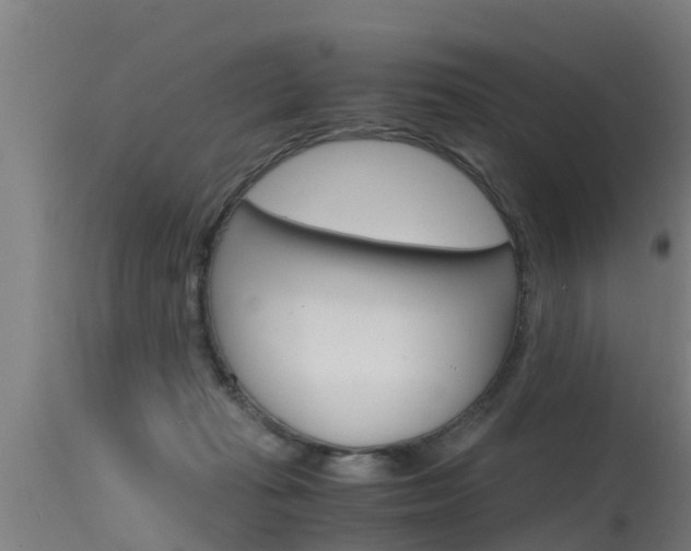 X0000115760269200911131006