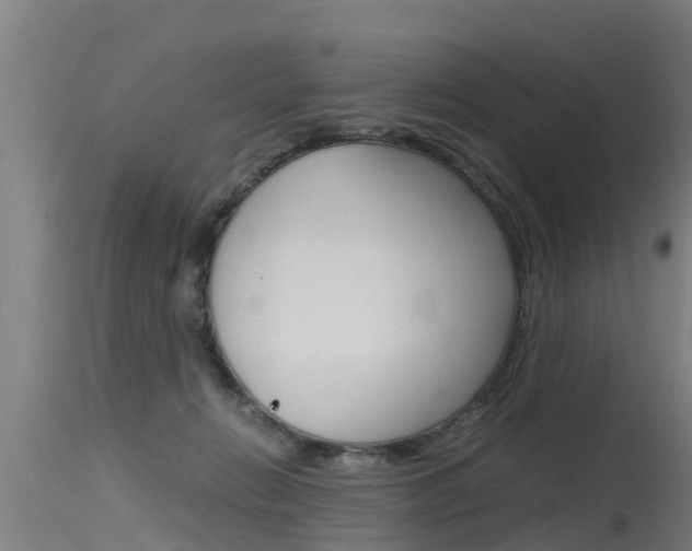 X0000115760270200911131006