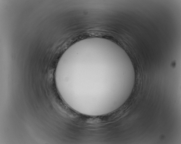 X0000115760271200911131006