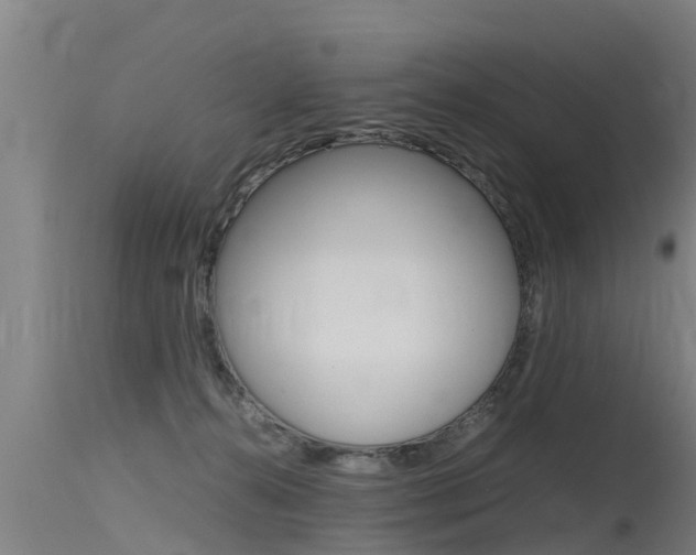 X0000115760272200911131006
