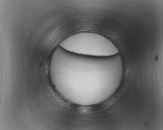X0000115760273200911131006
