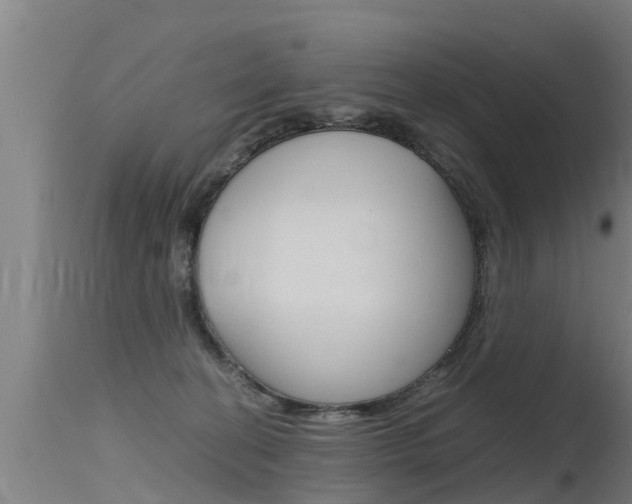 X0000115760274200911131006