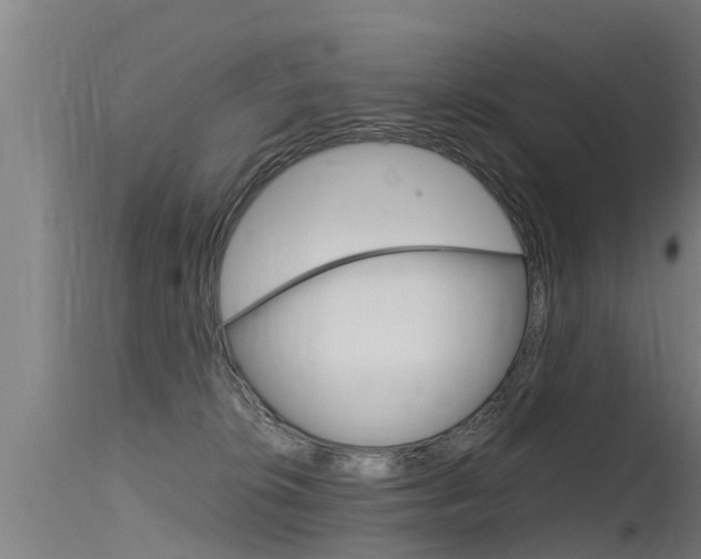 X0000115760276200911131006