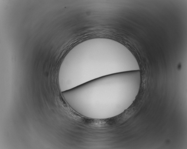 X0000115760278200911131006