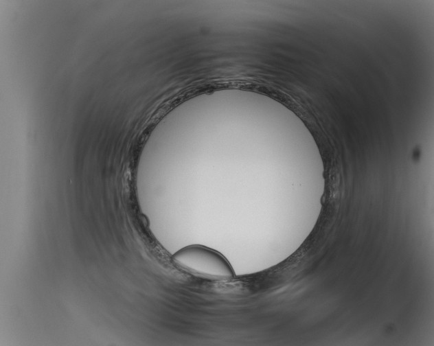 X0000115760279200911131006