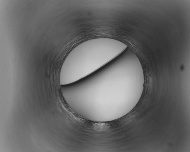 X0000115760281200911131006