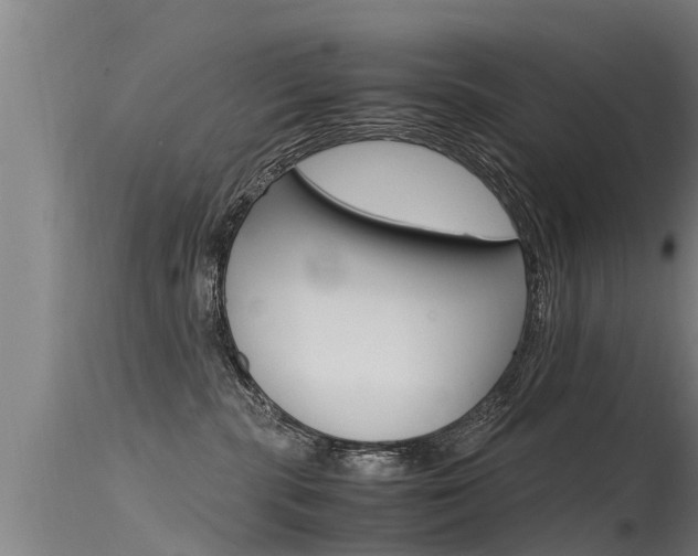 X0000115760283200911131006