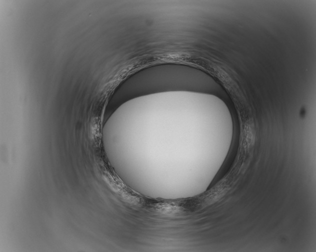 X0000115760284200911131006