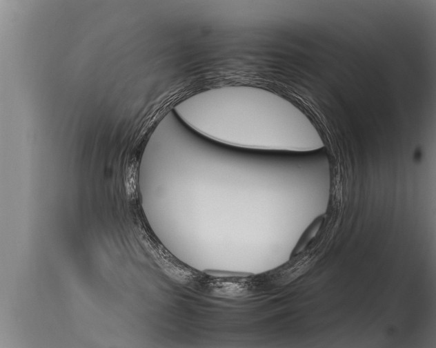 X0000115760285200911131006