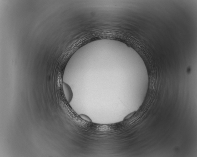 X0000115760287200911131006