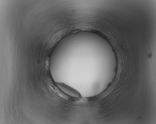 X0000115760288200911131006