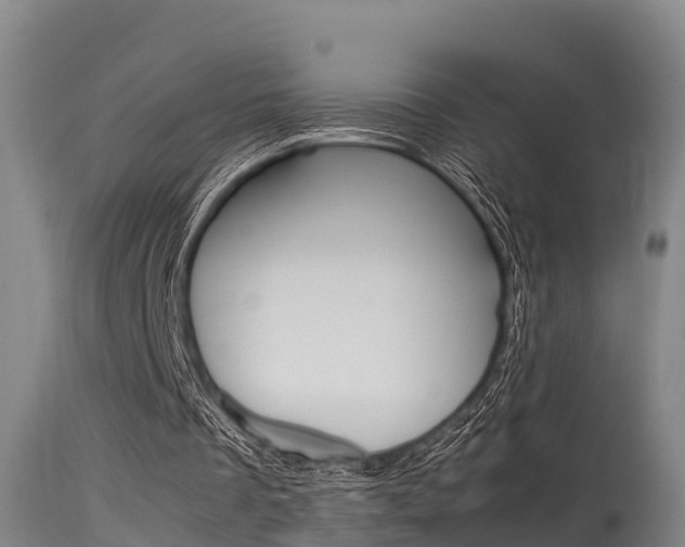 X0000115760289200911131006