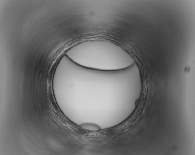 X0000115760290200911131006