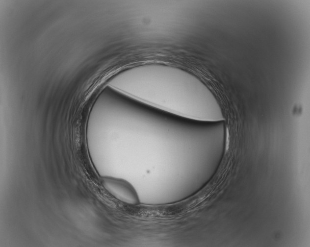 X0000115760291200911131006