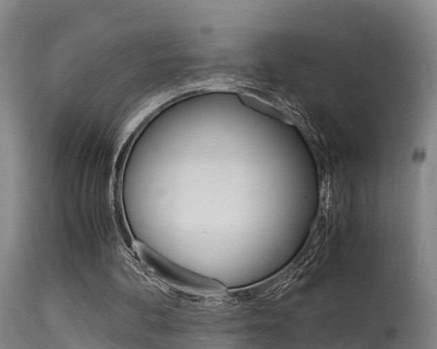 X0000115760292200911131006