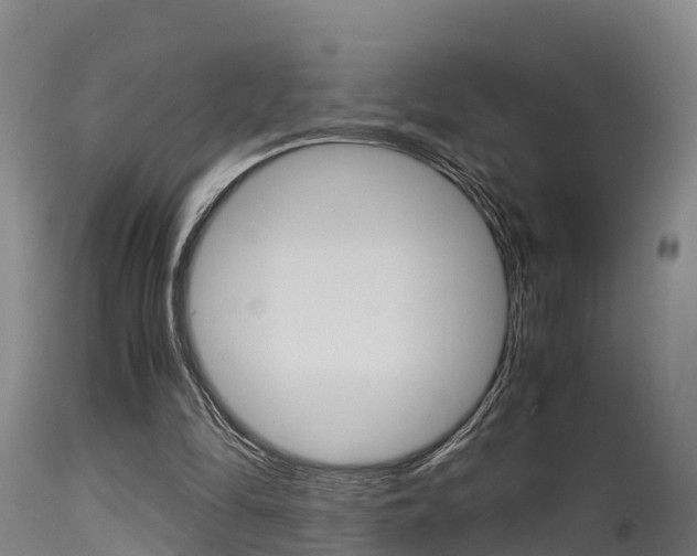X0000115760294200911131005