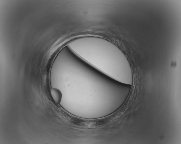 X0000115760295200911131005