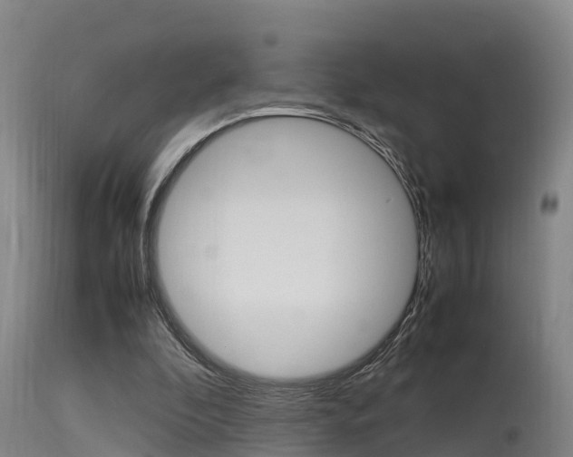 X0000115760296200911131005