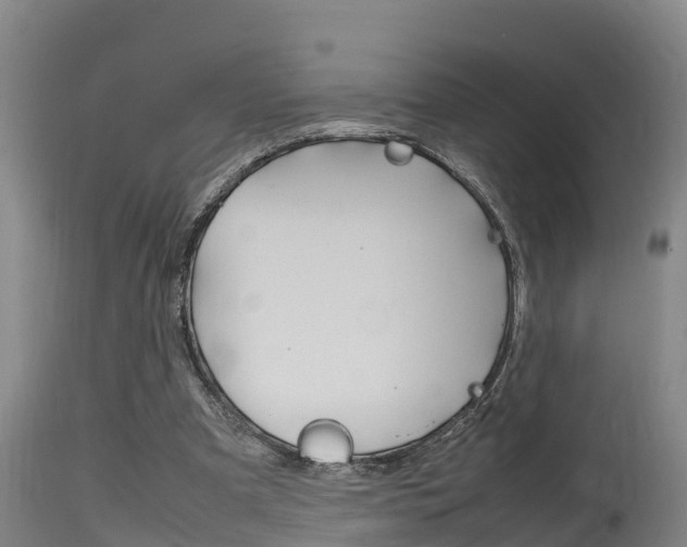 X0000115760297200911131005