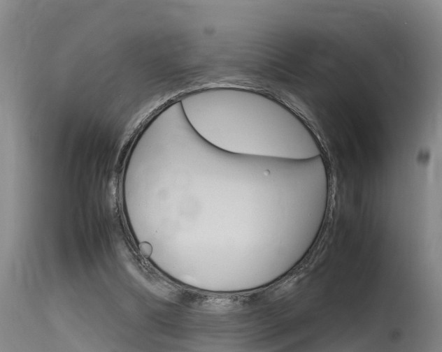 X0000115760298200911131005