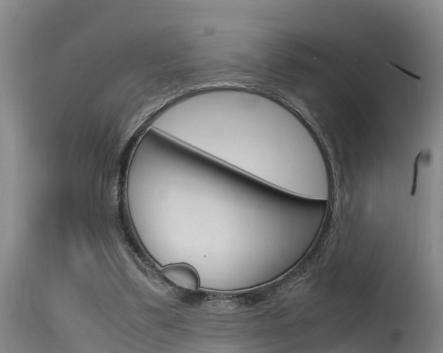 X0000115760299200911131005