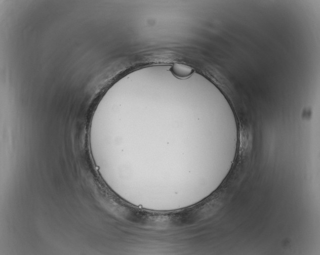 X0000115760301200911131005