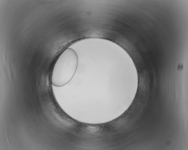 X0000115760302200911131005