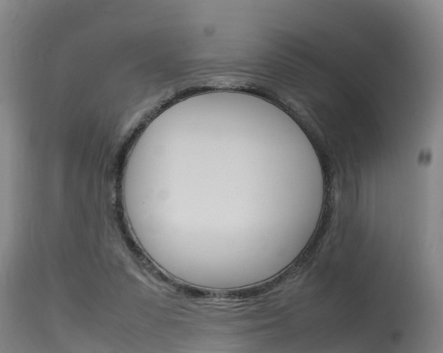 X0000115760303200911131005