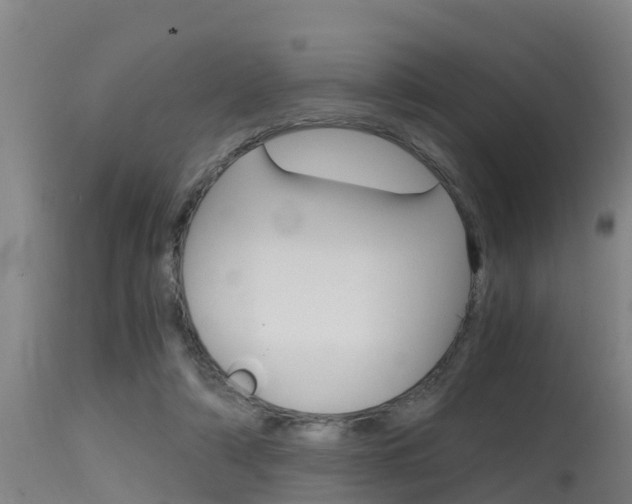 X0000115760306200911131005