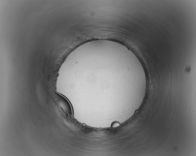 X0000115760307200911131005