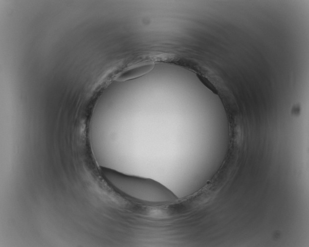 X0000115760308200911131005