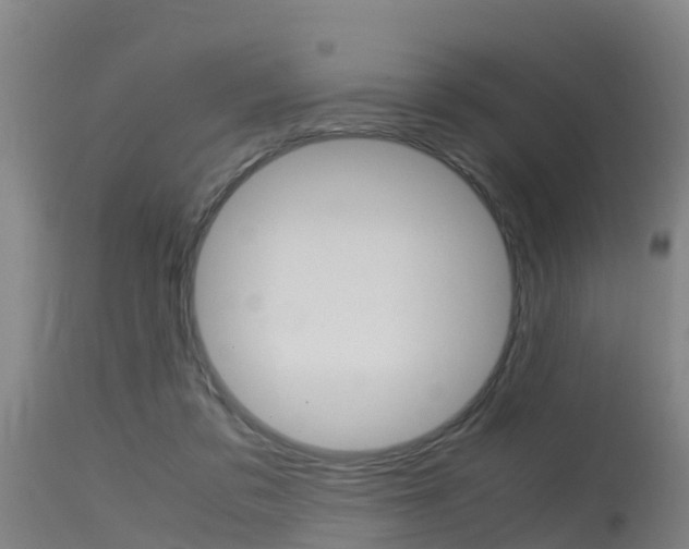X0000115760309200911131005