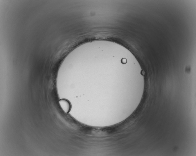X0000115760311200911131005