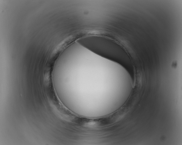 X0000115760312200911131005