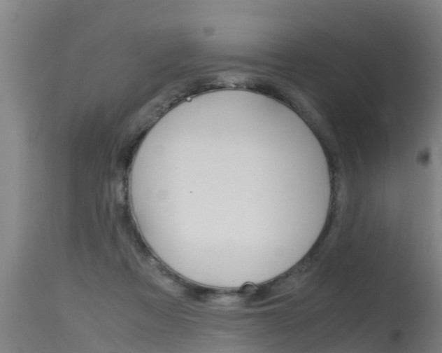X0000115760313200911131005