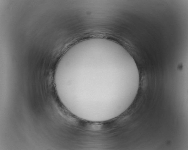 X0000115760318200911131005