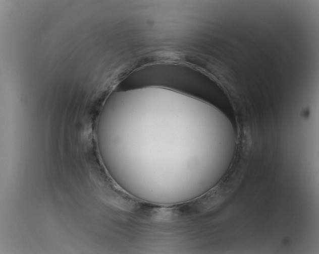 X0000115760320200911131005