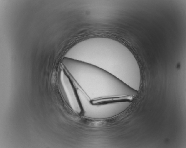 X0000115760323200911131005