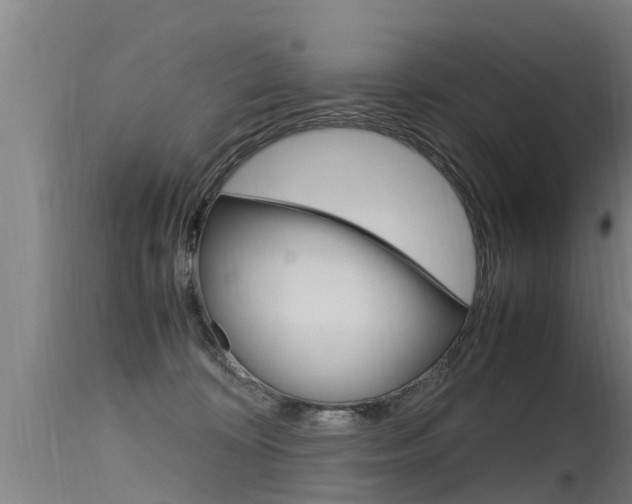 X0000115760324200911131005