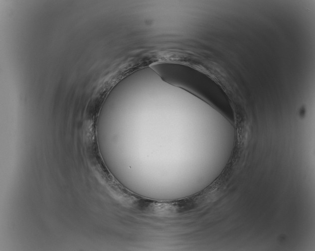 X0000115760327200911131005
