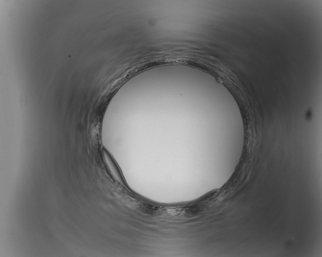 X0000115760329200911131005