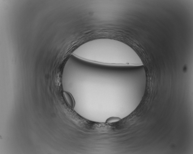 X0000115760331200911131005