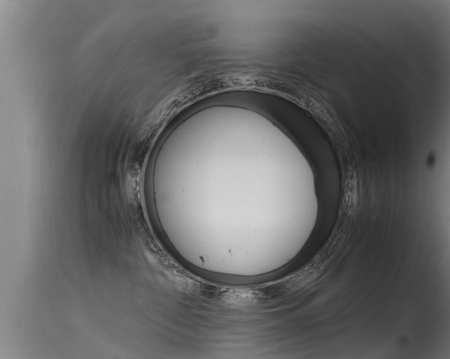 X0000115760332200911131005