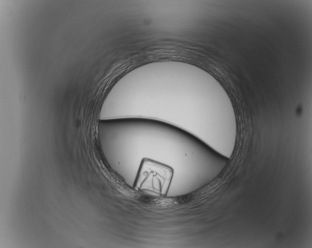 X0000115760333200911131005