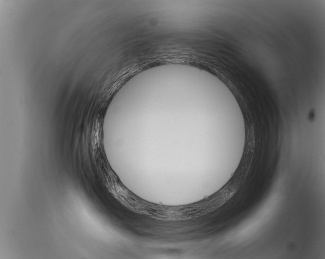X0000115760334200911131005