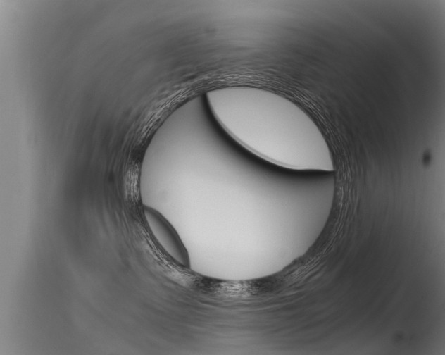 X0000115760335200911131005