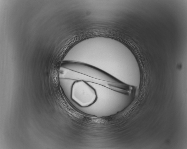 X0000115760336200911131005