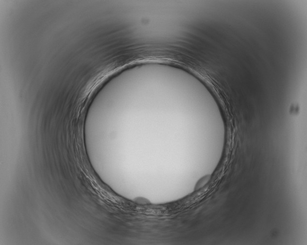 X0000115760337200911131004