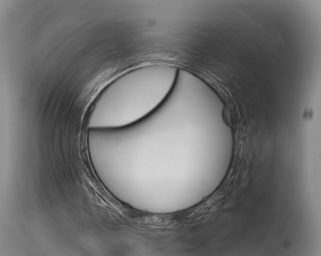 X0000115760338200911131004
