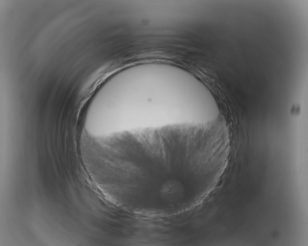 X0000115760339200911131004